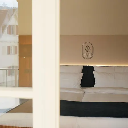 Linde Seehotel Hotel Bodman-Ludwigshafen