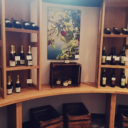 Seehotel Linde 酒店 博德曼路德维希港