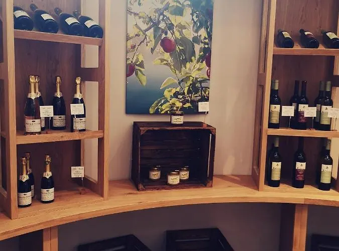 Seehotel Linde Hotel Bodman-Ludwigshafen